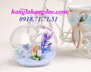 Bình thủy tinh trồng cây hình trái táo 8.5 cm 