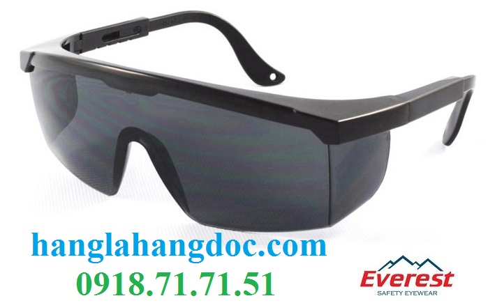 Kính chống bụi bảo vệ mắt Everest EV-105B đen