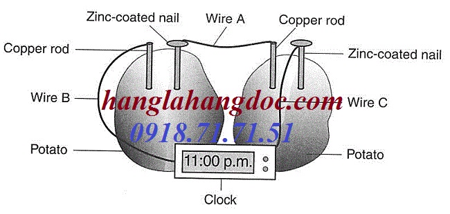 Đồng hồ độc đáo các loại: Đồng hồ súng bắn, bánh xe lăn báo thức, vintage, chim công, chiếu giờ,... - 43