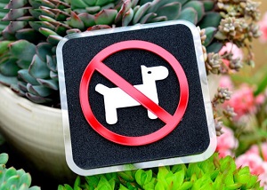 Miếng dán logo cấm chó 3D dán tường tiện dụng & sang trọng