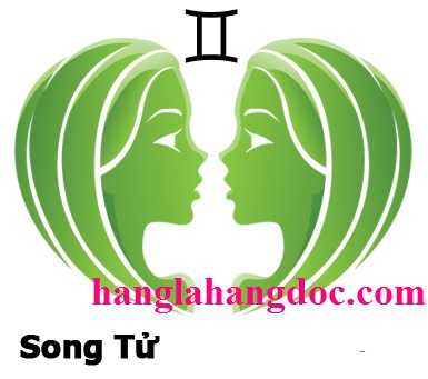 Cốc đổi màu 12 cung hoàng đạo - Song Tử