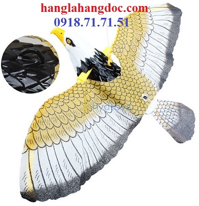 Top với hơn 80 về mô hình chim đại bàng