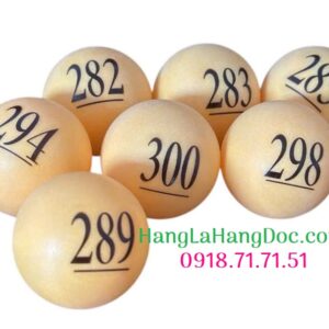 Bộ 1-300 bóng đánh số đường kính 4cm