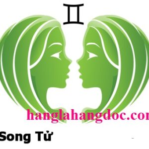 Cốc đổi màu 12 cung hoàng đạo – Song Tử