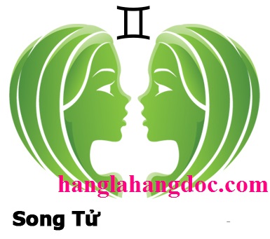 Cốc đổi màu 12 cung hoàng đạo – Song Tử