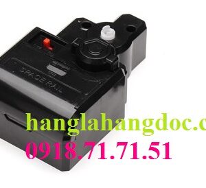 Động cơ (motor) SpaceRail