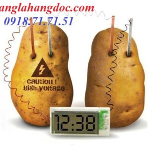 Đồng hồ trái cây (khoai tây/ cà chua…) trang trí độc đáo