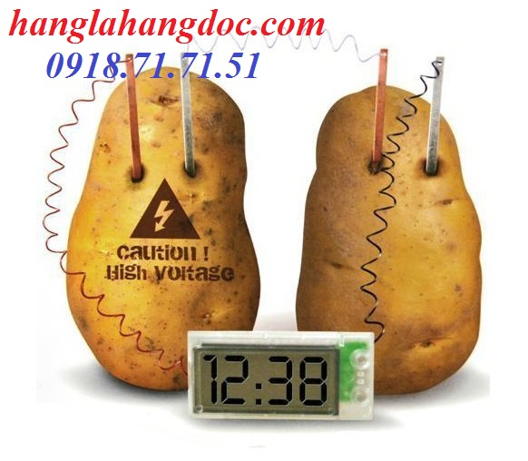 Đồng hồ trái cây (khoai tây/ cà chua…) trang trí độc đáo