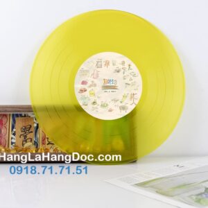 Mô hình đĩa than vinyl trong suốt 12 inch (30cm) đa sắc