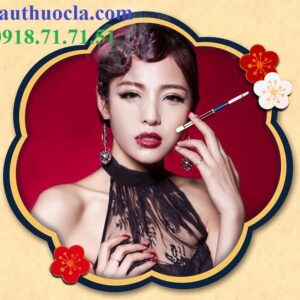 Tẩu lọc ZOBO ZB-366 cán kim loại, thân gỗ hút điếu esse