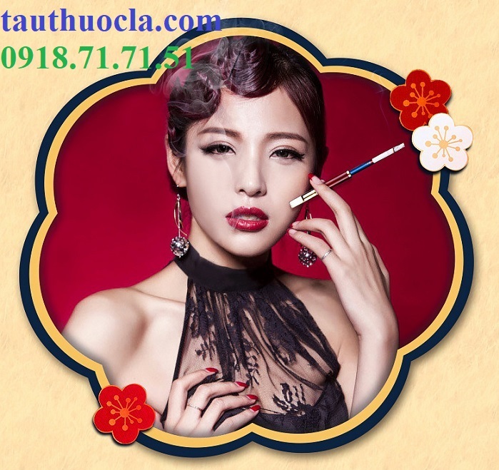 Tẩu lọc ZOBO ZB-366 cán kim loại, thân gỗ hút điếu esse