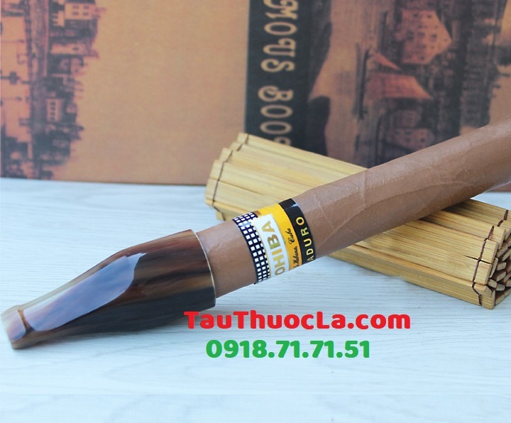 Tẩu sừng bò Yak Tây Tạng CIYA-6 bắt tóp xì gà (cigar)