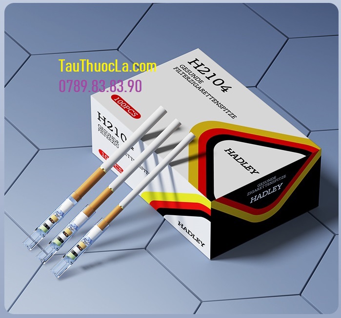 Tẩu thuốc lá 7 lớp lọc thảo mộc Hadley 2104 Đức (3 cỡ điếu)