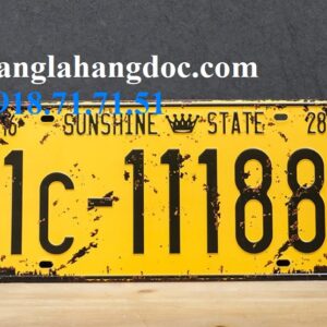 Tranh sắt biển số xe 30×25 trang trí vintage beer club, quán cafe