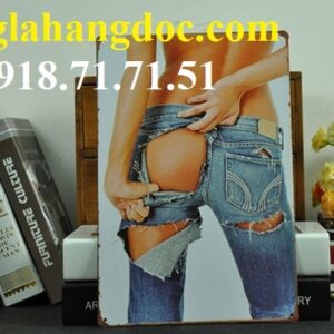 Tranh sắt gắn tường trang trí 20x30cm cổ điển (coffee shop, bar club…)