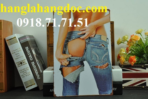 Tranh sắt gắn tường trang trí 20x30cm cổ điển (coffee shop, bar club…)